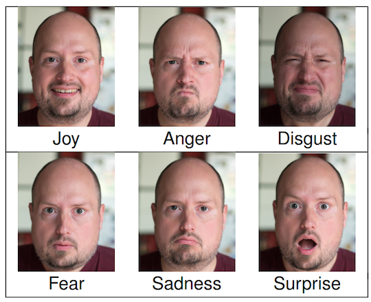 Ekman's basic emotions